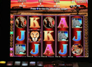 黄金网站app免费正式版